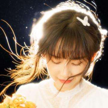 极速飞艇计划app下载