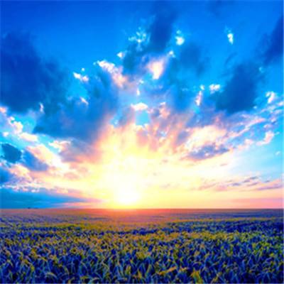 澳门人威尼斯官方